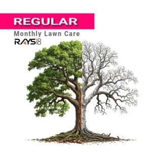 Regular - Monthly Lawn Care