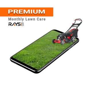 Premium - Monthly Lawn Care